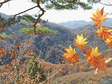 小紅書獨(dú)家放送，最新電話圖片大放送??