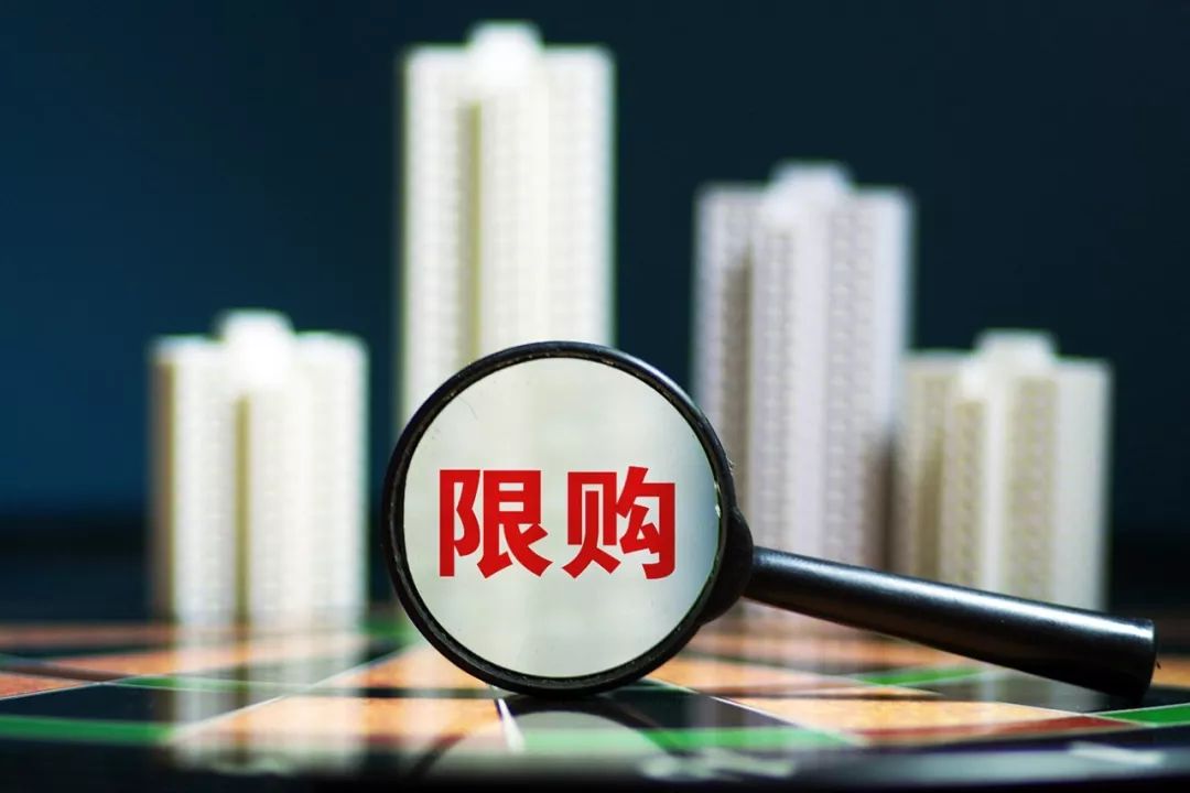 吹膜環評 第255頁