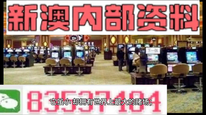 2024新澳精準資料免費提供,澳門內部,數(shù)據(jù)引導執(zhí)行策略_WJT29.589收藏版