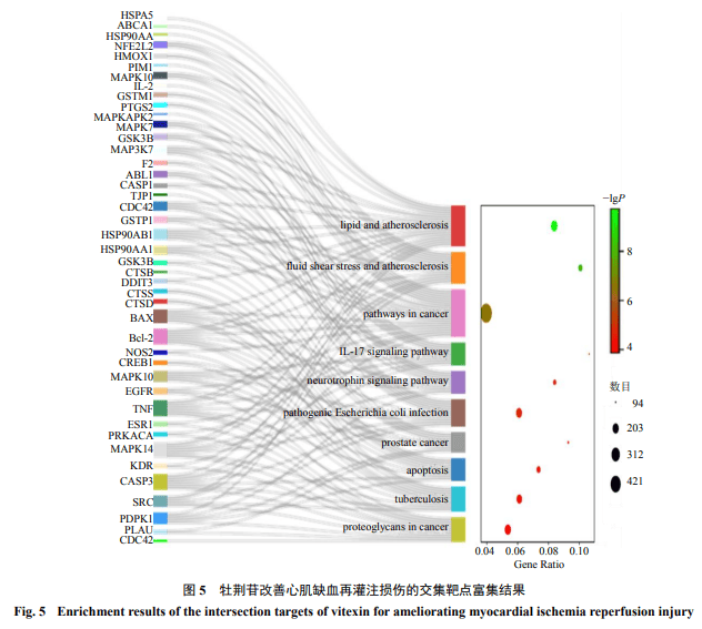 鐵算盤致力打造火熱全網,物理學_QUH50.281網絡版