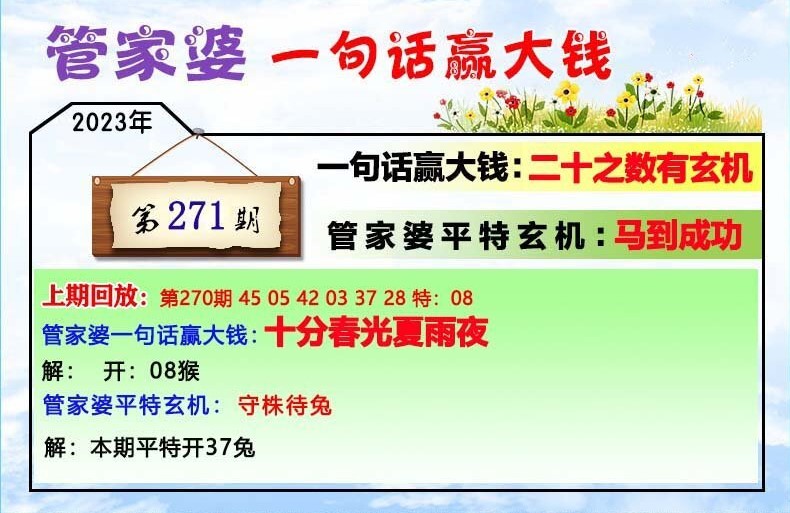 202管家婆一肖一嗎,實地研究解答協助_NHW29.307月光版