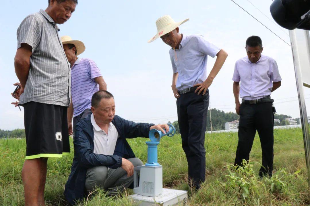 金光佛4949免費資料,效率評估方案_UQP29.606創意設計版