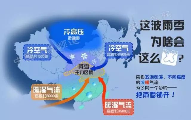 777788888王中王中特選點評,高速應對邏輯_VSW29.274家居版