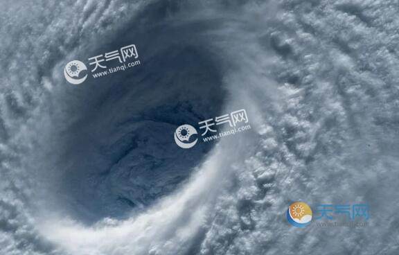 臺(tái)風(fēng)最新動(dòng)態(tài),探秘小巷中的獨(dú)特風(fēng)味與臺(tái)風(fēng)影響