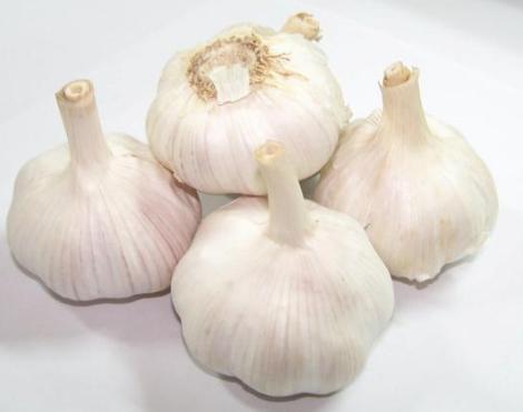 大蒜110網(wǎng)最新價格