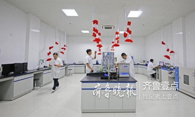 山東濟(jì)寧最新招聘信息及熱門職位匯總