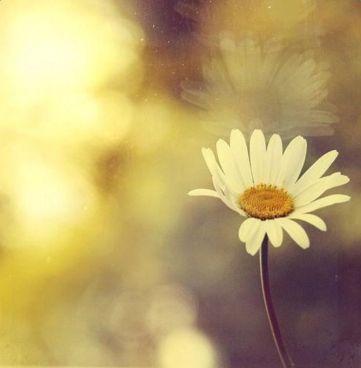 探索新潮話題,分享生活點(diǎn)滴,最新說說回顧2016年精彩瞬間