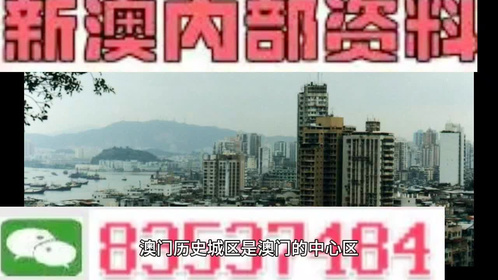 新澳門內部免費資料精準大全,擔保計劃執行法策略_ZAK50.705顯示版