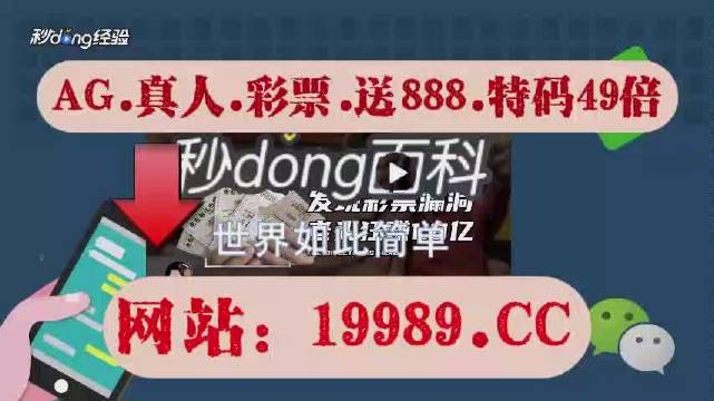2024澳門天天彩六開彩直播,實地研究解答協助_LFJ50.636體驗版