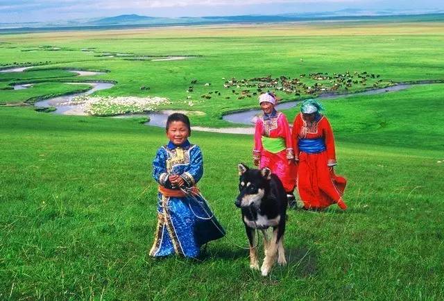 最新草原歌曲，與自然美景的旅行邂逅，尋找心靈寧靜之音