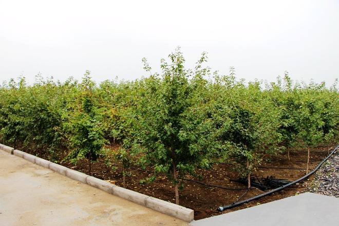 富民縣新篇章，家園溫馨規劃與未來發展藍圖