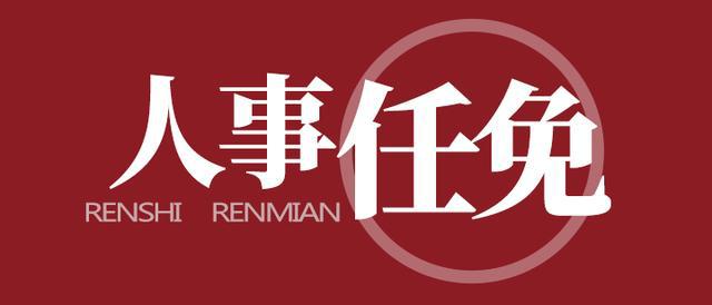 重慶人大最新任免公告及步驟指南