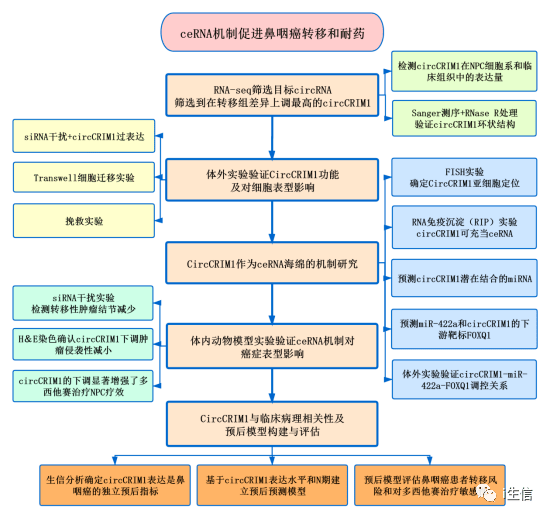 港澳大聯盟資料大全,機制評估方案_JIN49.627可靠版