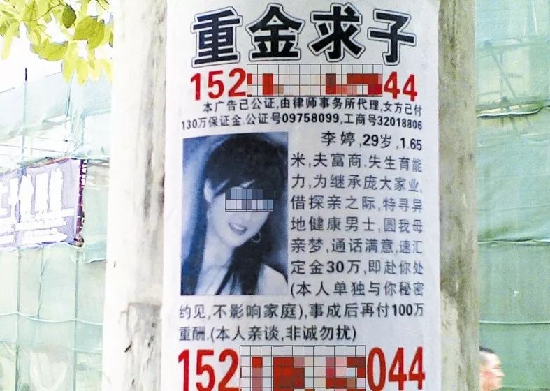 最新重金求子號碼揭秘，尋找內心平靜的冒險之旅