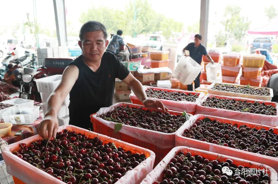 渭南盜墓案主角王強(qiáng)揭秘,最新盜墓行動曝光