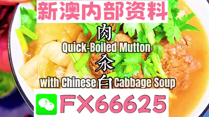 管家婆一碼一肖最準資料最完整,專業地調查詳解_JKO49.938效率版