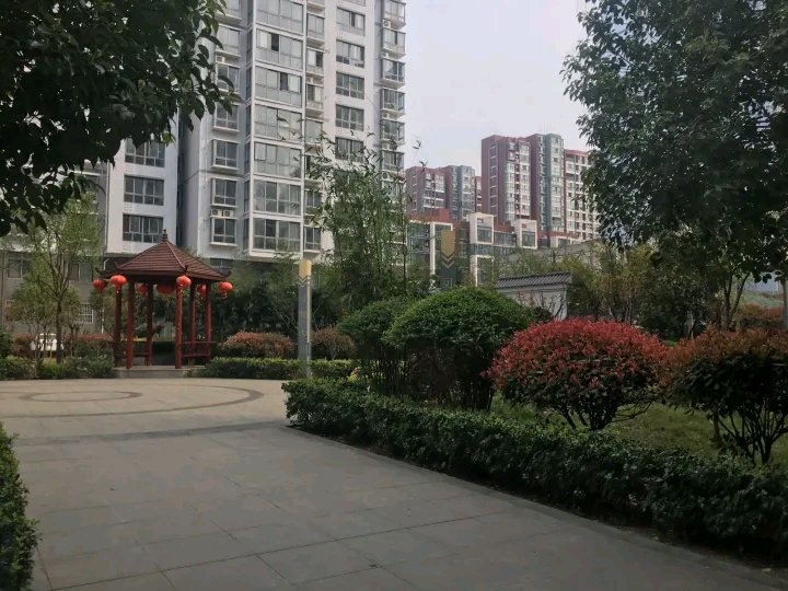 河南桐柏最新房價揭秘，溫馨家園的遇見與故事