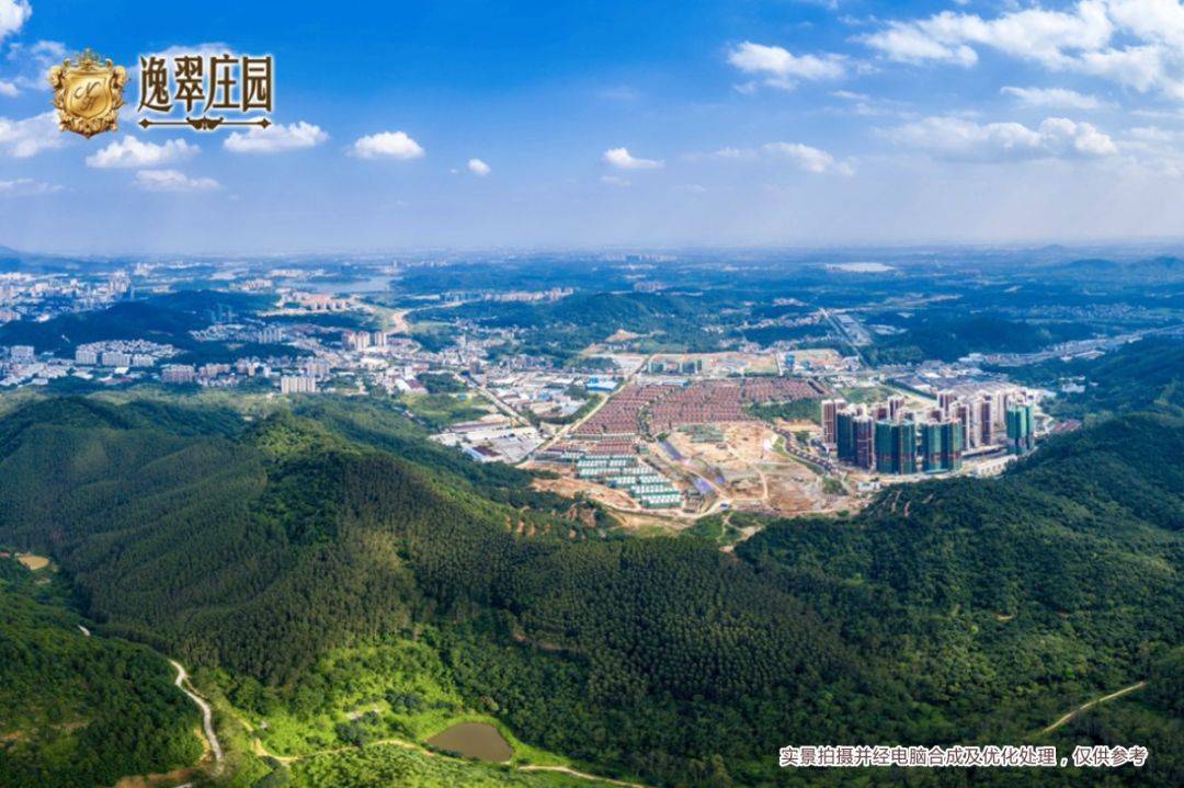 增城潘共恩的最新動態,勵志故事照亮希望之路