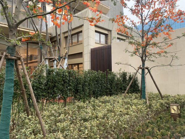 金融街壹號最新價，獲取與理解指南全解析