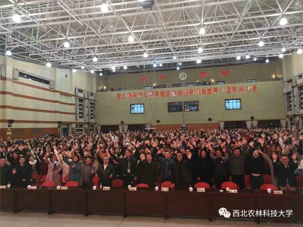 西北農大最新動態，小巷深處的獨特風味