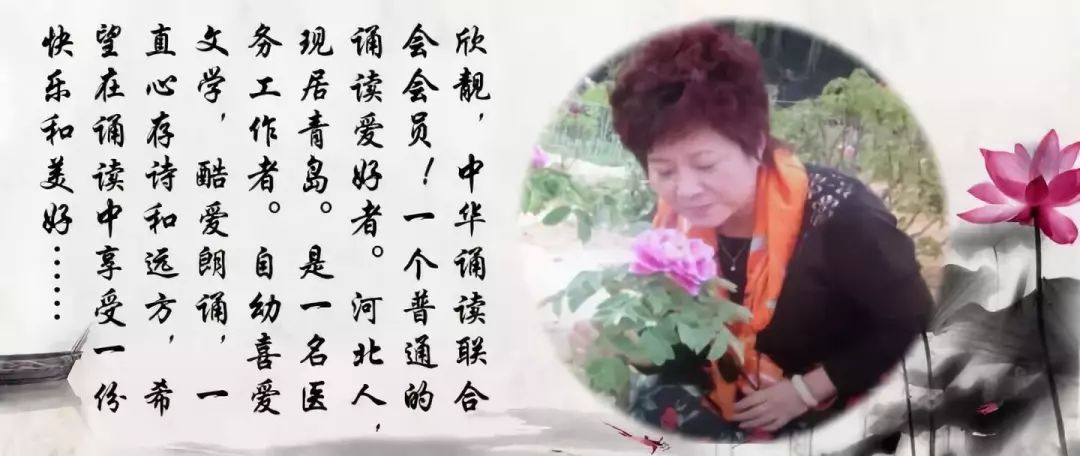 邊城浪子最新作品深度探究某觀點(diǎn)，深度剖析與解讀