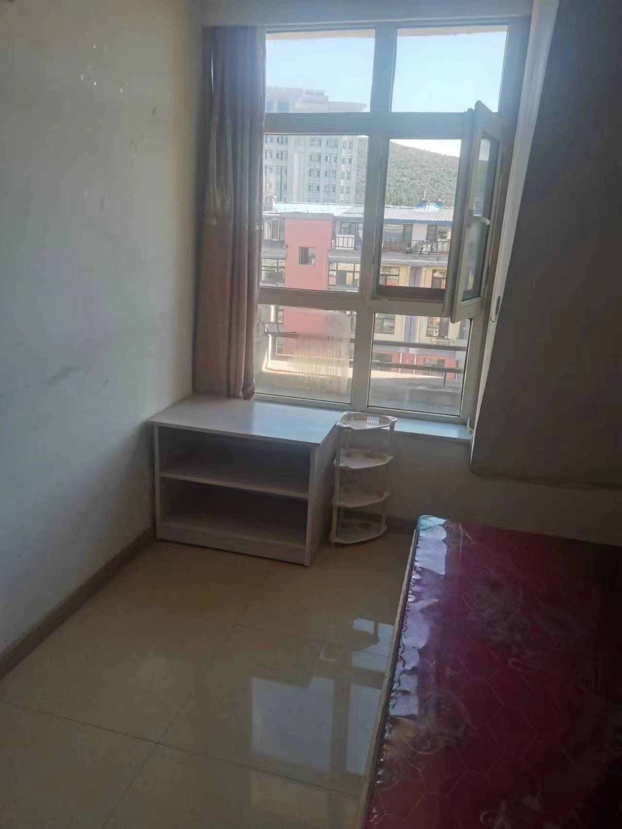阿城最新房屋出租，家的溫馨與奇遇的友情之旅