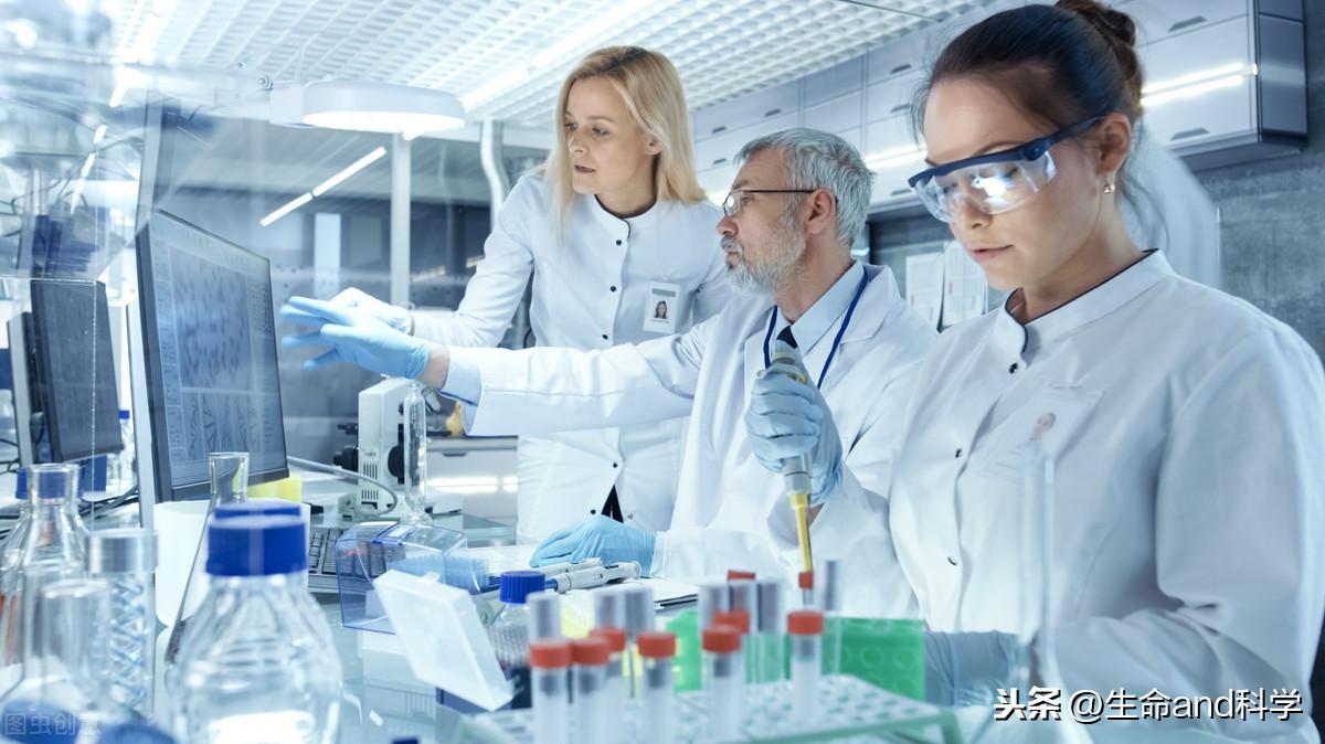 美國流感死亡人數最新數據（2024年觀點論述）