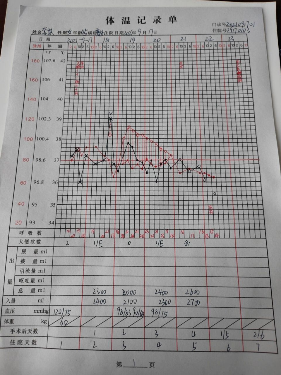最新體溫單書寫規(guī)范詳解