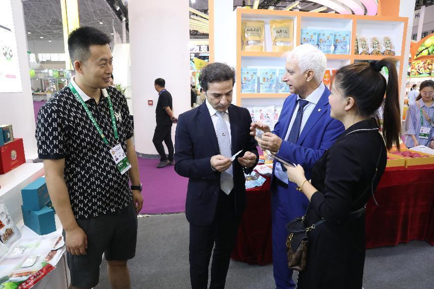 甘肅供銷社最新信息全解析，最新動態(tài)與指南