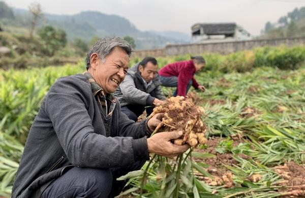 貴州桐梓九壩最新圖片欣賞?
