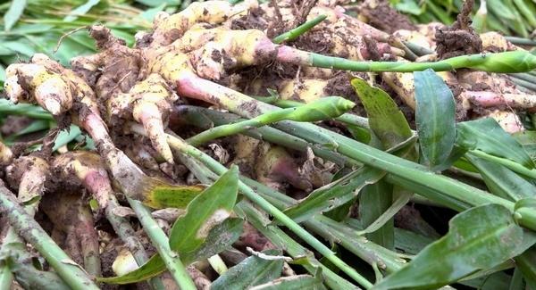 貴州桐梓九壩最新圖片欣賞?