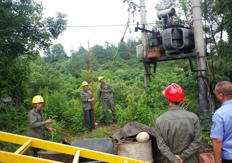 最新環保法實施，啟程探索大自然美景的最佳時刻