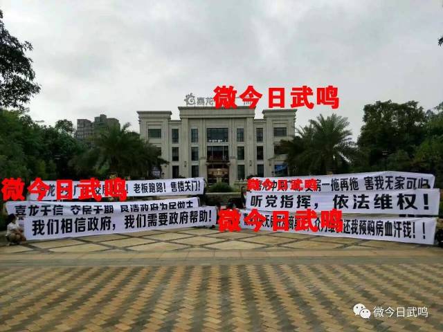 武鳴里建最新房價，投資熱點與趨勢分析及購房指南