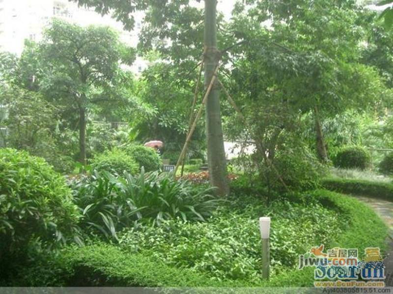 武陟華夏新城崛起與蛻變，最新動態(tài)揭示一座城市的蓬勃發(fā)展