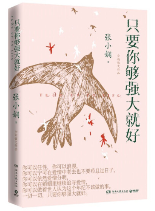 張小嫻竇斌最新章節(jié)深度解析，人物關(guān)系及其影響