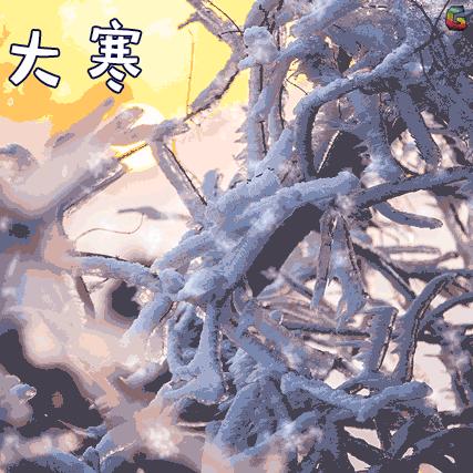 2024年白蘿卜最新價(jià)格回顧與展望，洞悉市場(chǎng)趨勢(shì)