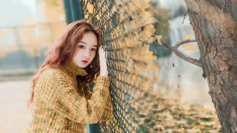 葉無道徐靈兒最新章節免費閱讀,網絡小說免費閱讀現象探討