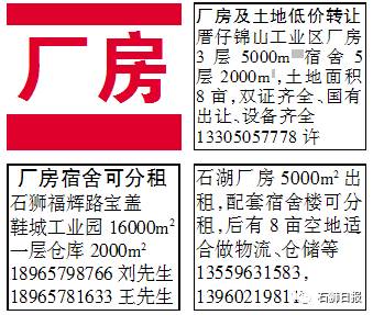 石獅市招聘網最新招聘信息，學習變化，成就自信與夢想之路