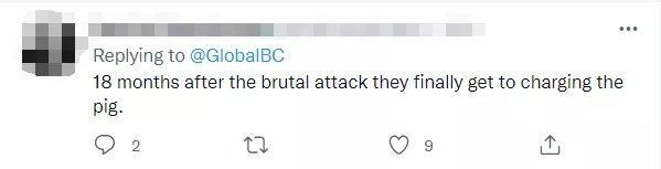 加拿大譚佳琪最新動態更新