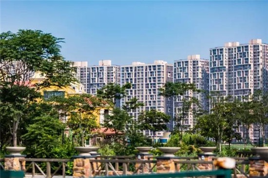 星耀五洲最新動態更新，最新消息一覽