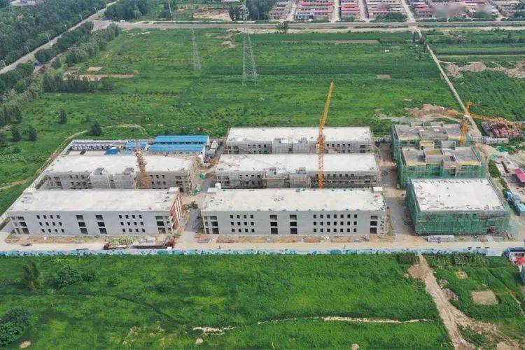 任丘市最新動態，城市溫情與友誼的綻放