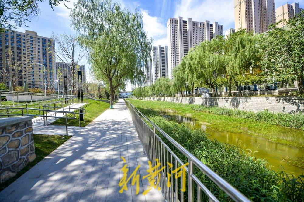 濟南興濟河最新動態揭秘??????