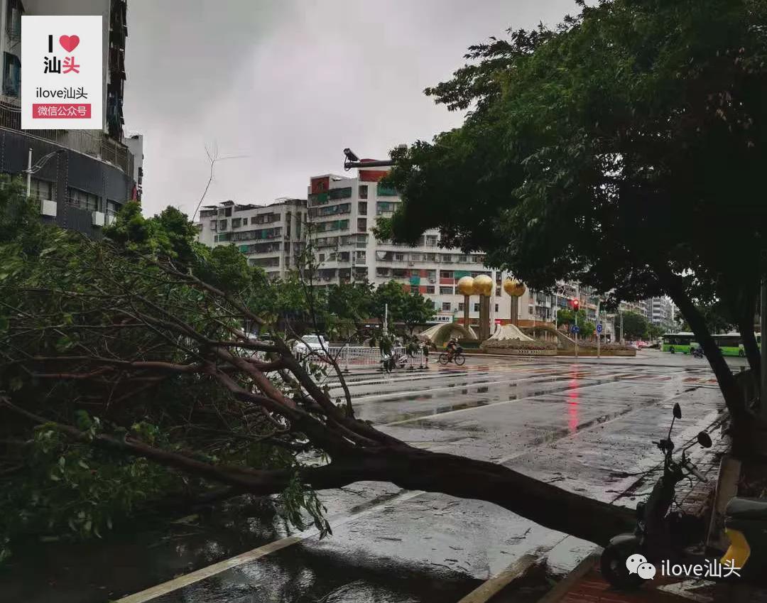 汕頭臺風苗柏最新動態(tài)與探索自然美景之旅