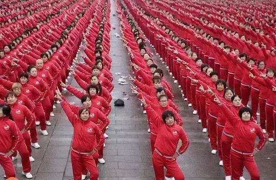 香河縣最新招聘動態，職場奇遇與友情共筑的紐帶