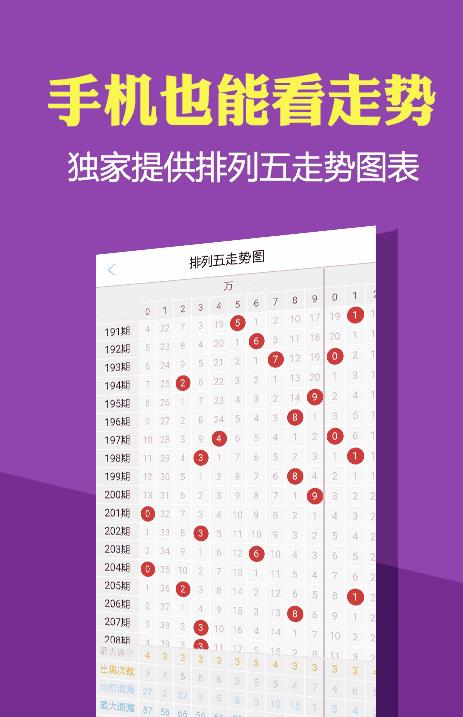 2024新澳正版免費資料大全,實時數(shù)據(jù)分析_仿真版80.304