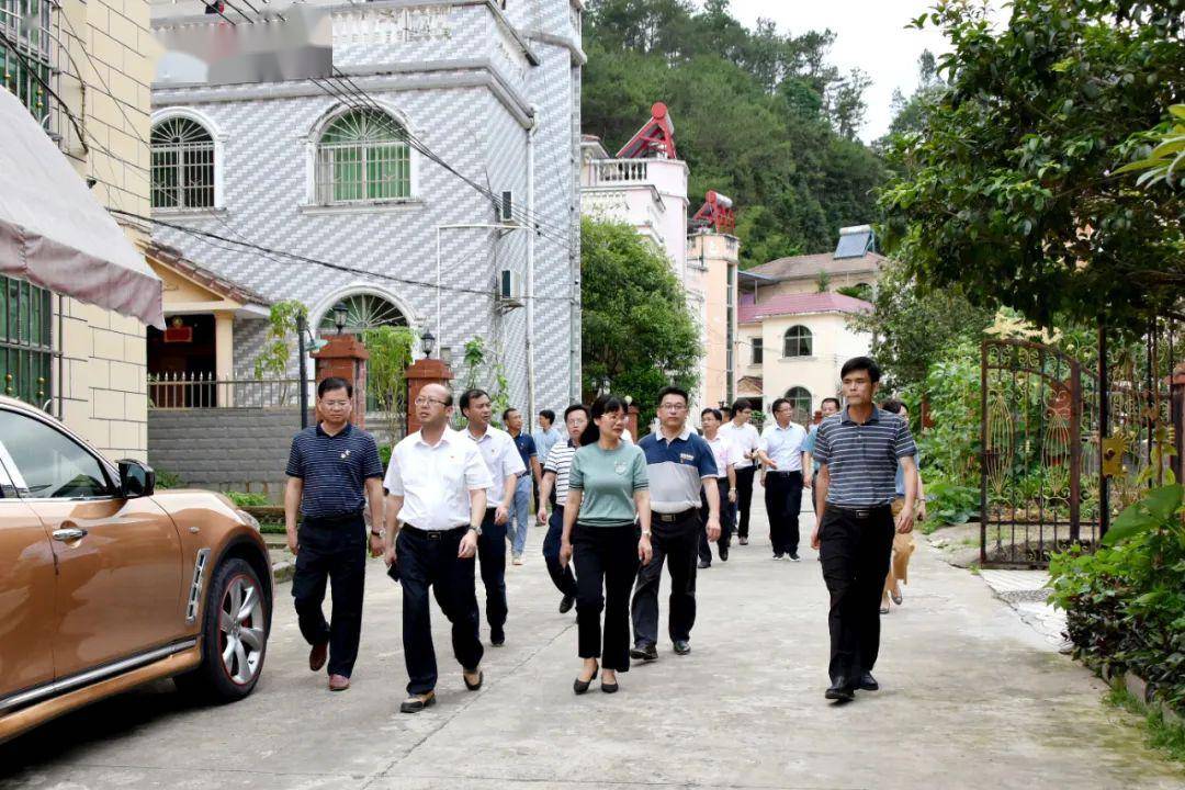 定南徐美清最新動(dòng)態(tài)，溫馨日常的點(diǎn)滴記錄