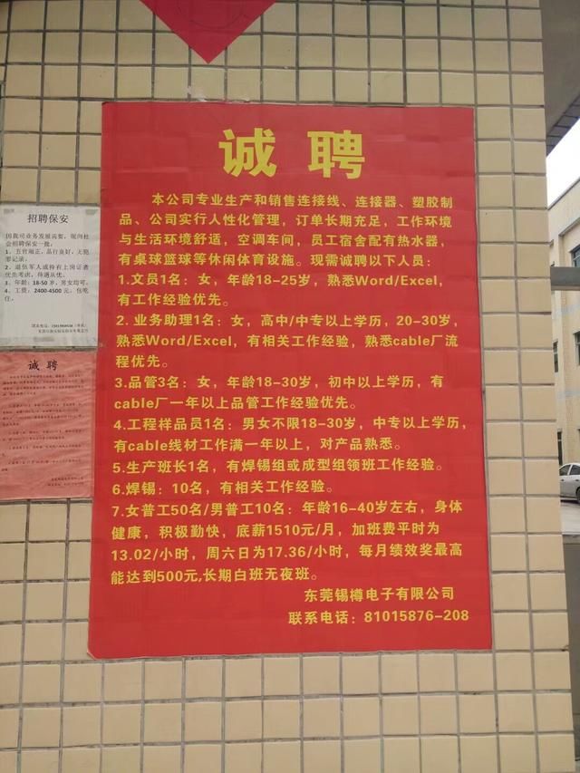 東莞東坑長盈最新招聘,攜手共啟自然美景探索之旅