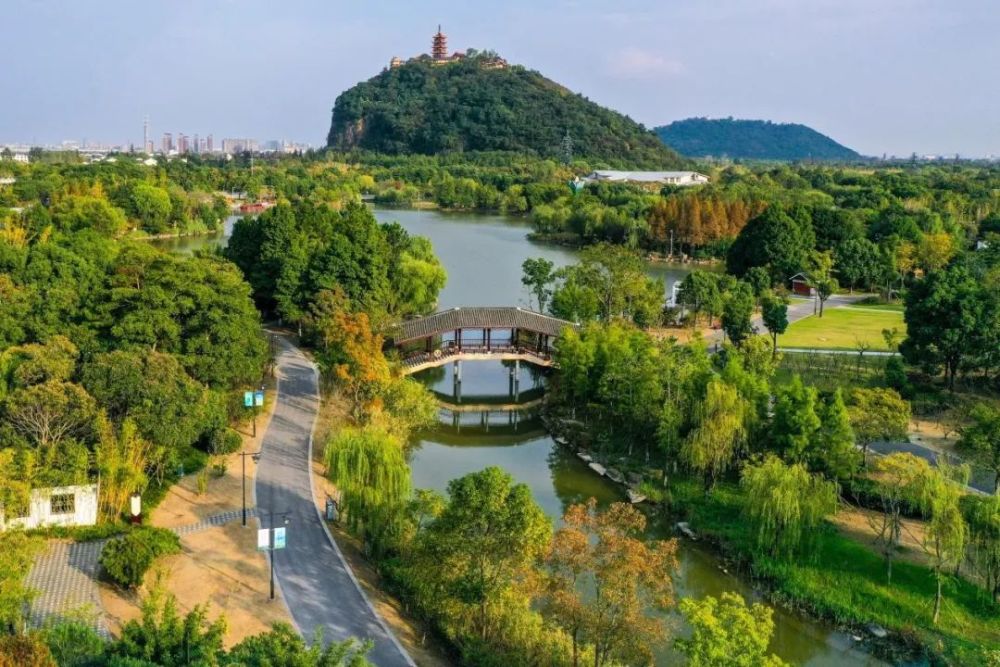 南通森林公園最新動態，游玩指南與技能學習全攻略