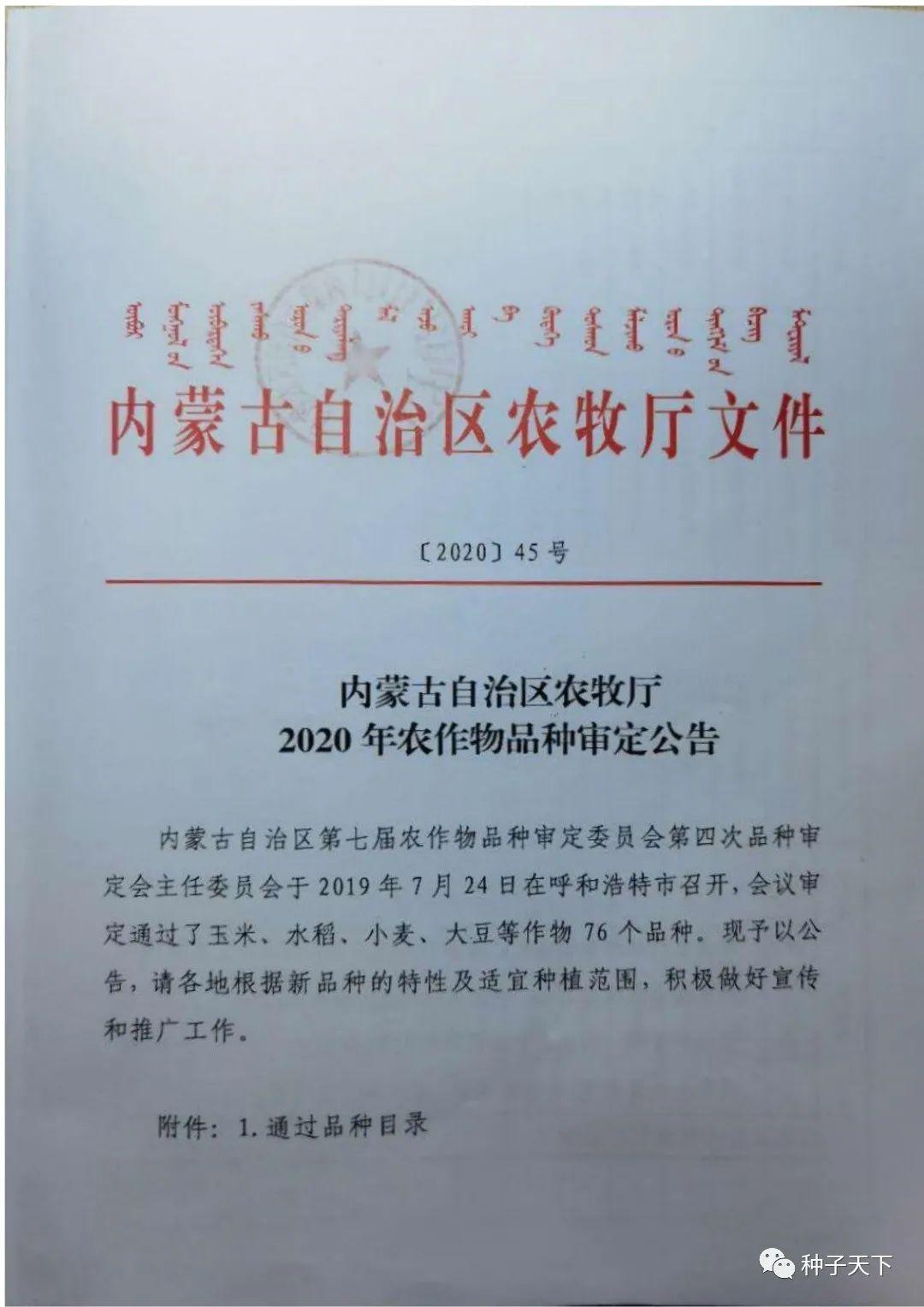 內蒙古緊急最新通告,內蒙古緊急最新通告背后的溫馨故事