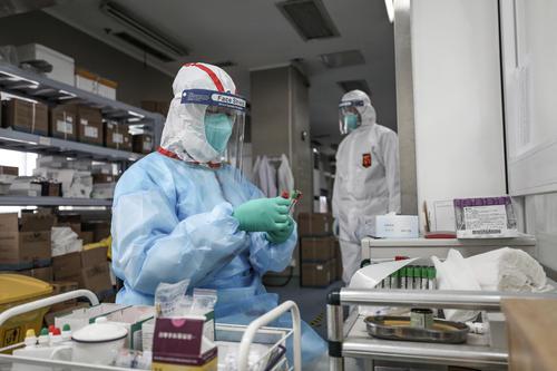 全國各省最新疫情數據下的探秘之旅，神秘小巷的特色小店見聞